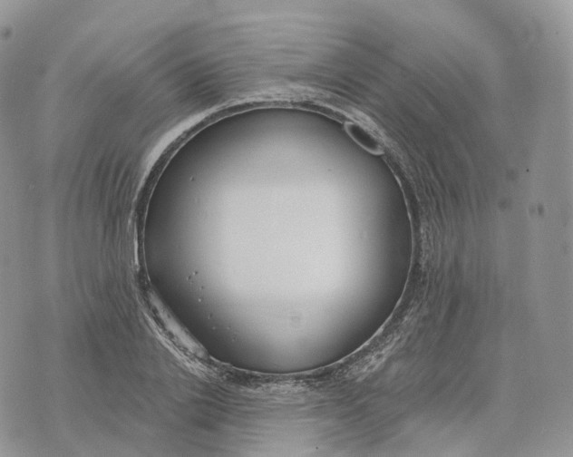 X0000072970838200608111714