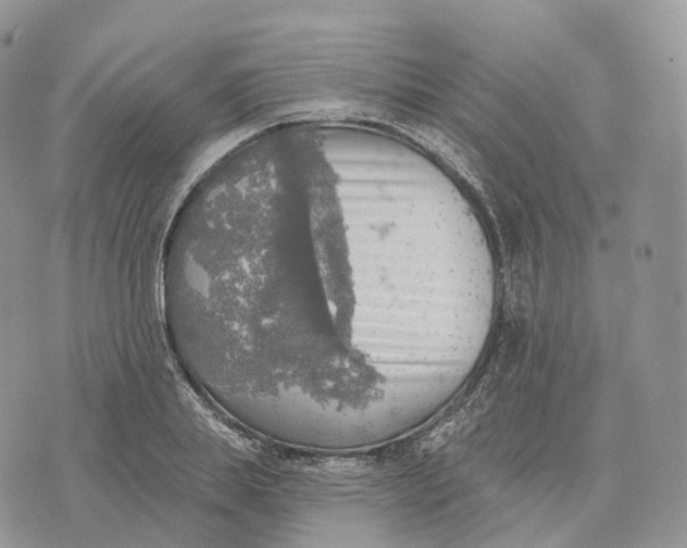 X0000072970839200608111714