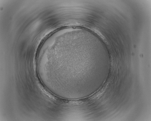 X0000072970840200608111714