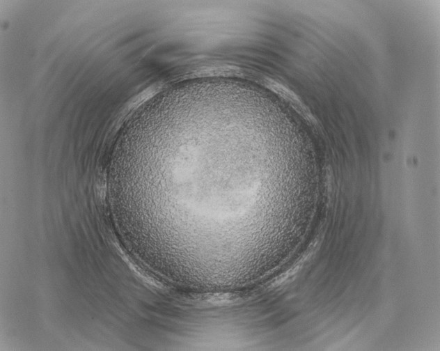 X0000072970841200608111714