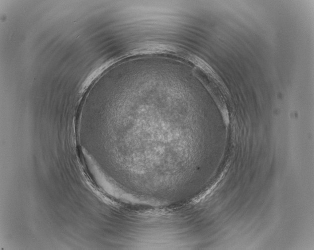 X0000072970842200608111714