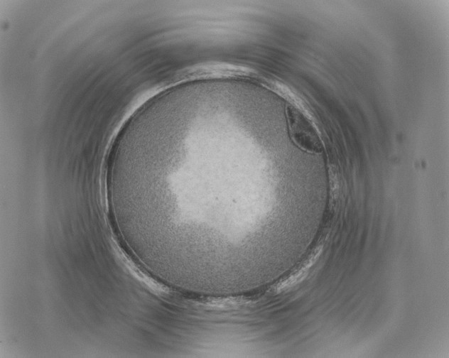 X0000072970843200608111714