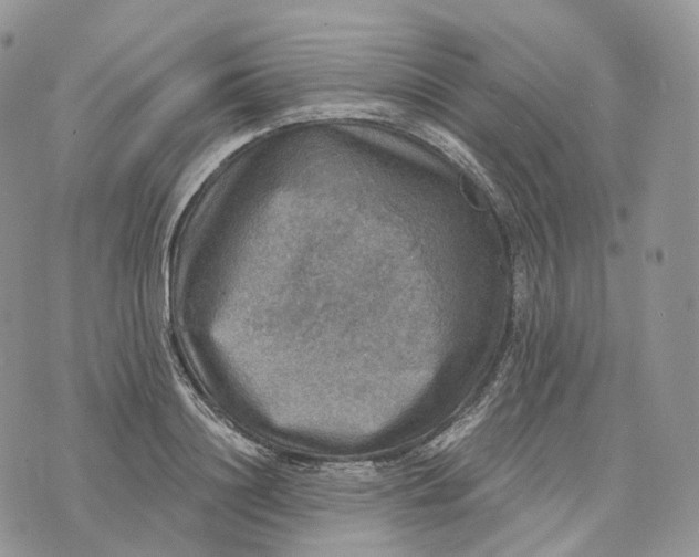 X0000072970844200608111714