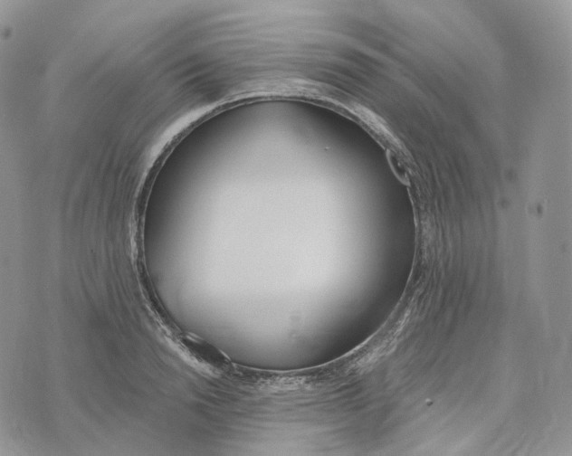 X0000072970846200608111714