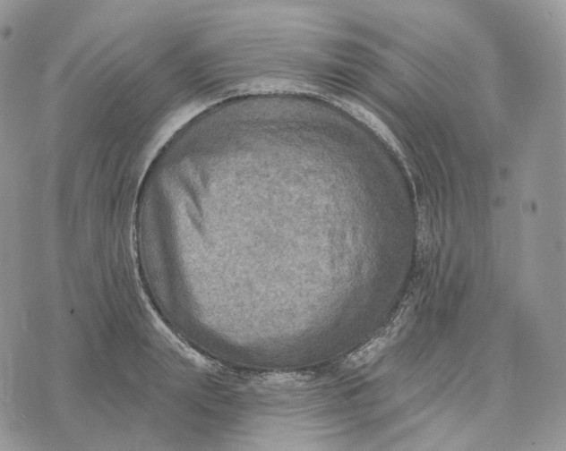 X0000072970847200608111714