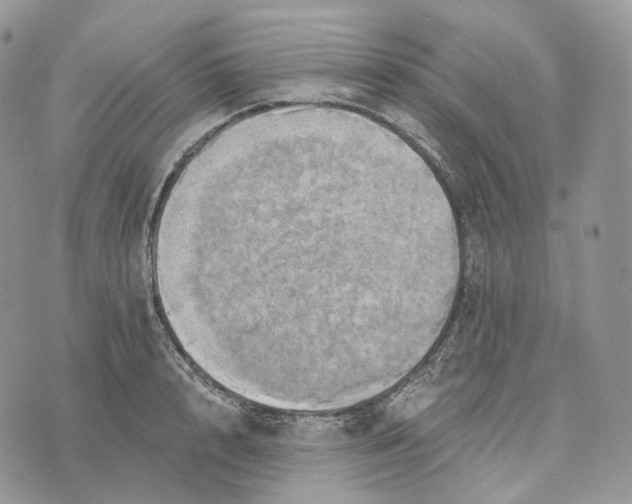 X0000072970848200608111714