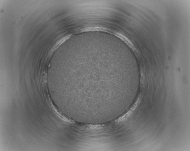 X0000072970849200608111714