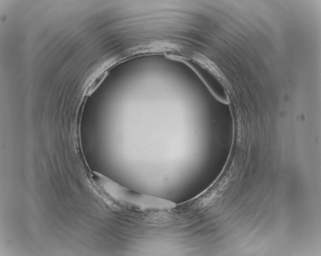 X0000072970850200608111714