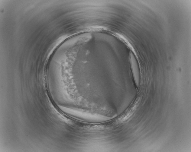 X0000072970851200608111714