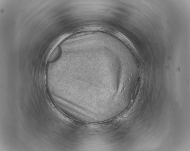 X0000072970852200608111714