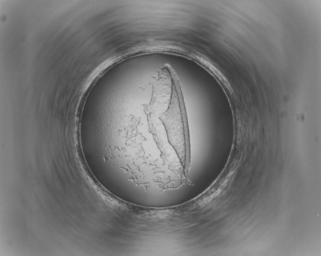 X0000072970853200608111714