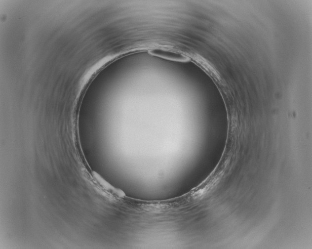 X0000072970854200608111714