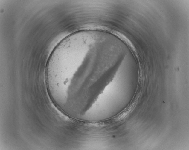 X0000072970855200608111714