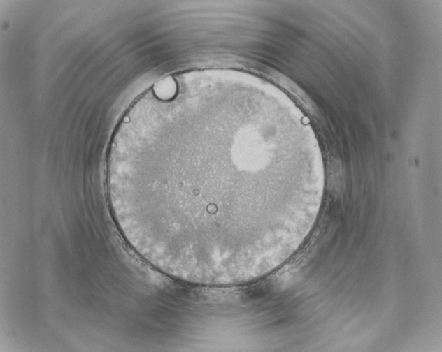 X0000072970856200608111714