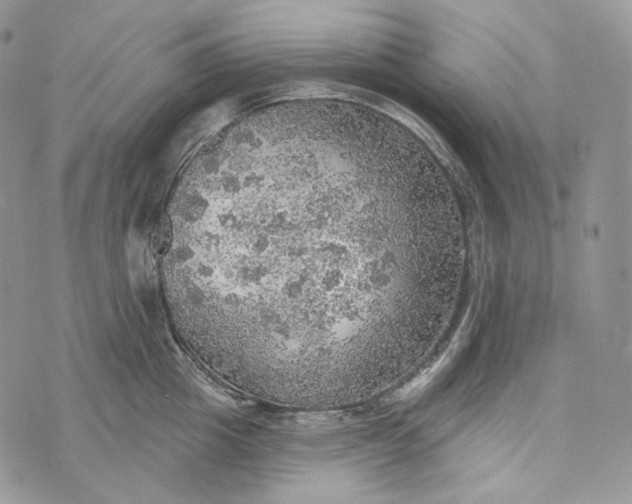 X0000072970857200608111714