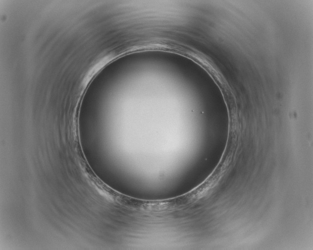 X0000072970858200608111714