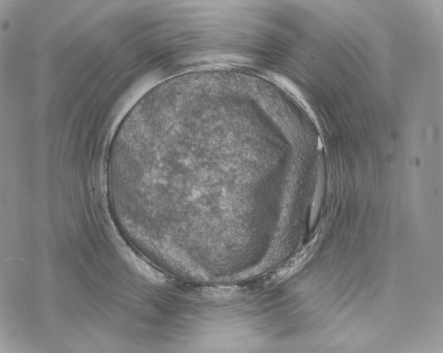 X0000072970859200608111714