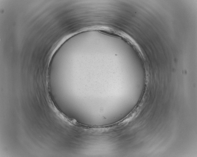 X0000072970860200608111714