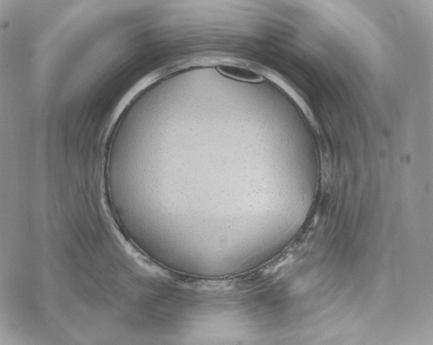 X0000072970861200608111714