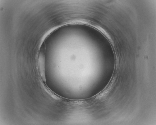 X0000072970862200608111714