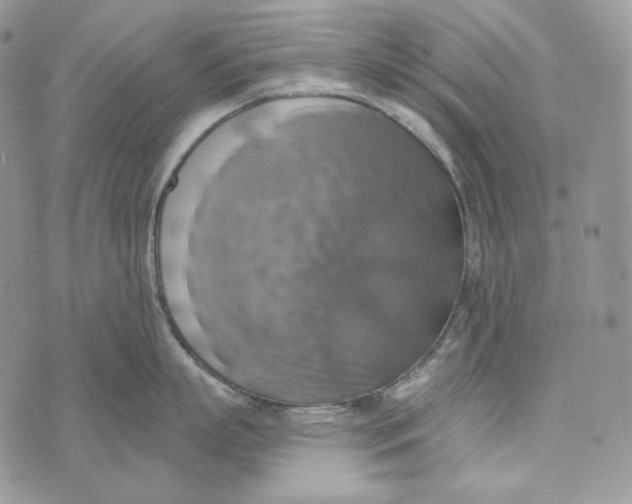 X0000072970863200608111714