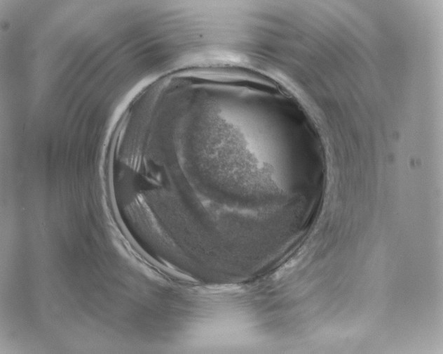 X0000072970864200608111714