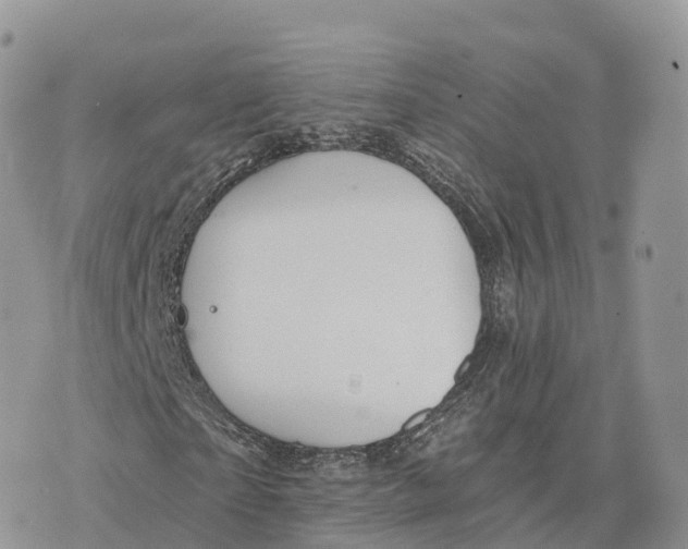 X0000072970865200608111713