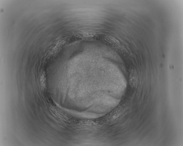 X0000072970866200608111713