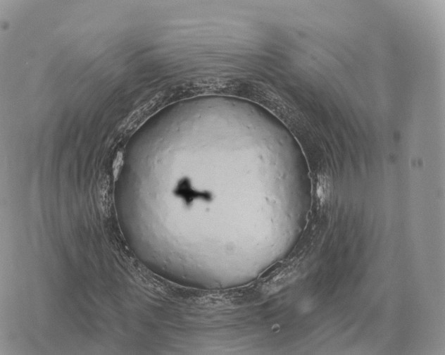 X0000072970867200608111713