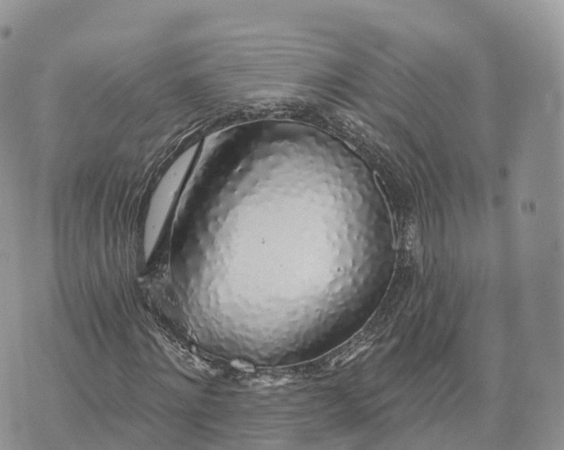 X0000072970868200608111713