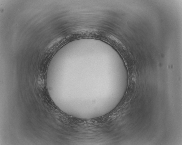 X0000072970869200608111713