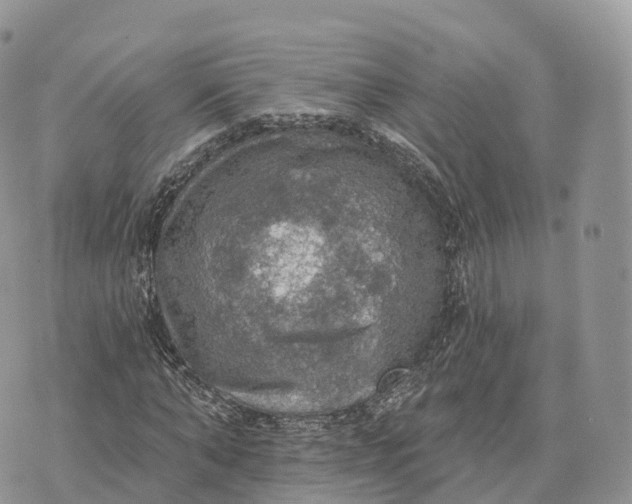 X0000072970870200608111713