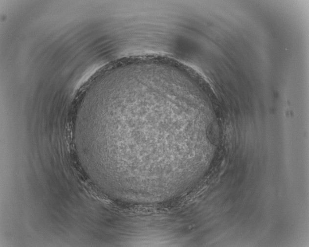 X0000072970871200608111713