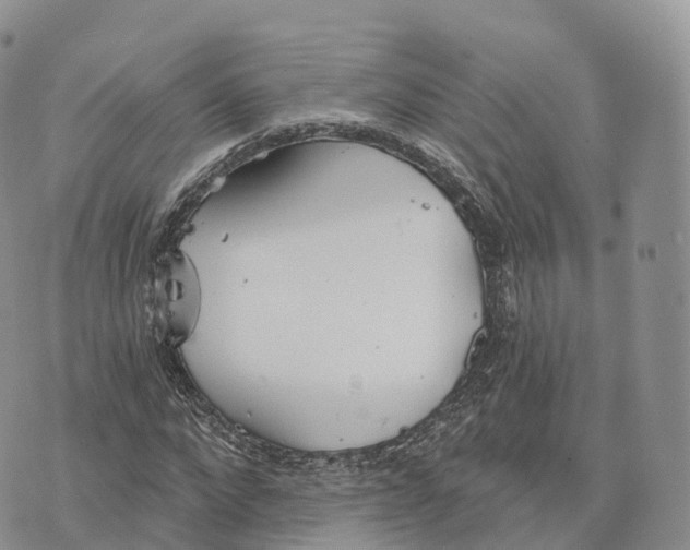 X0000072970872200608111713