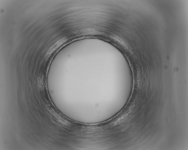 X0000072970873200608111713