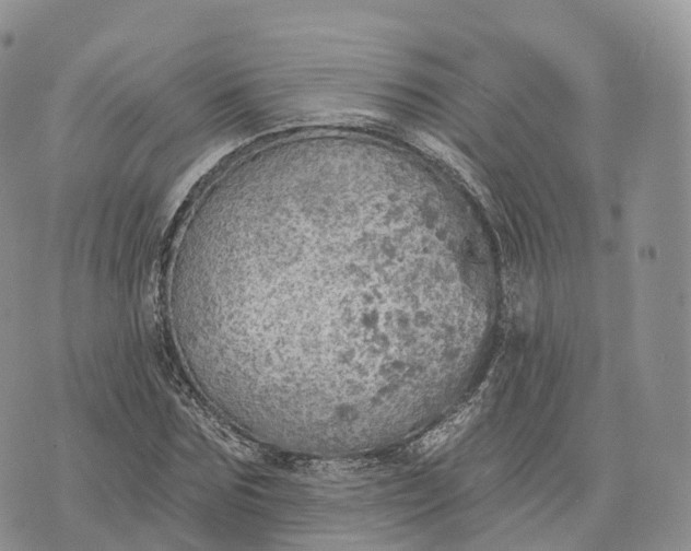 X0000072970875200608111713