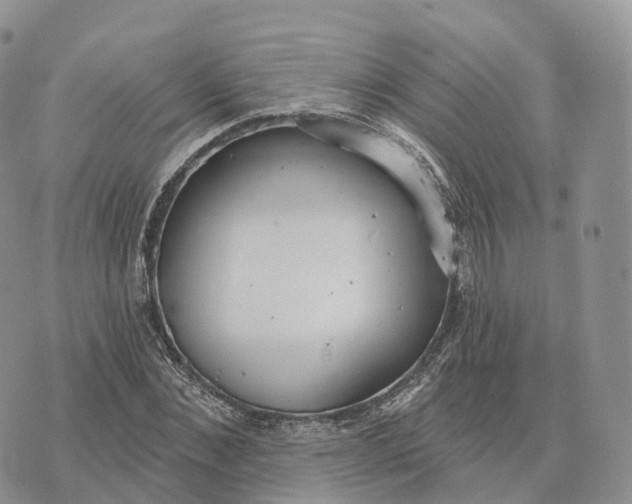 X0000072970876200608111713