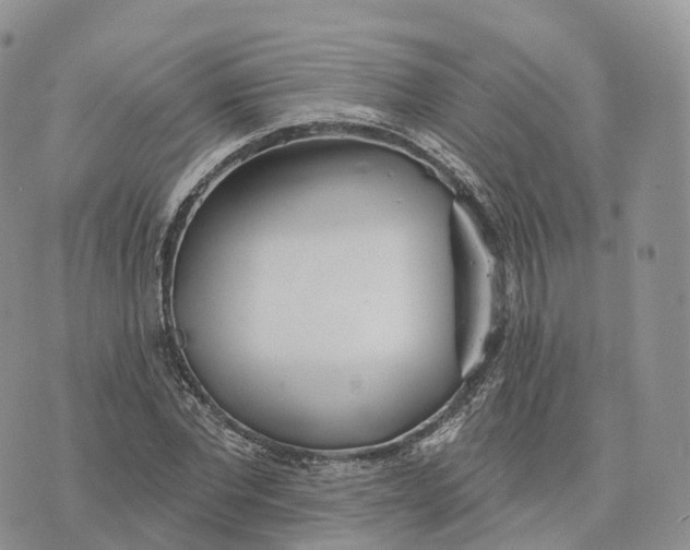 X0000072970877200608111713