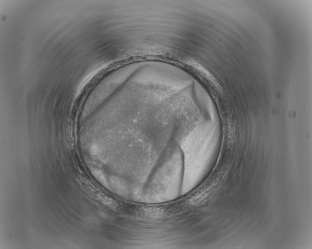 X0000072970878200608111713