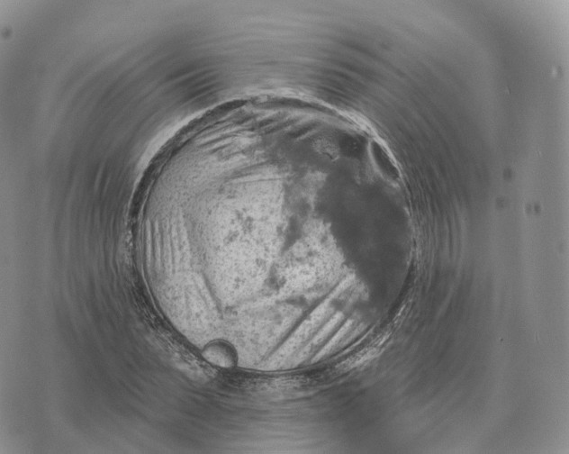 X0000072970879200608111713