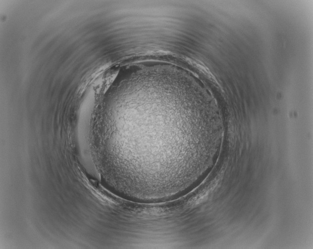 X0000072970881200608111713