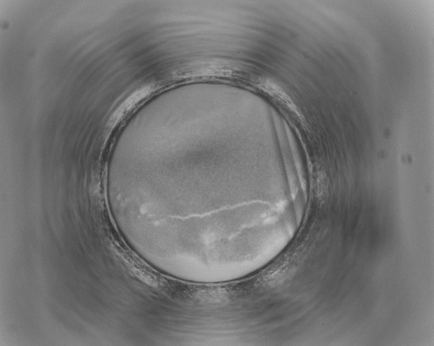 X0000072970882200608111713