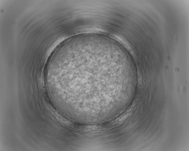 X0000072970883200608111713