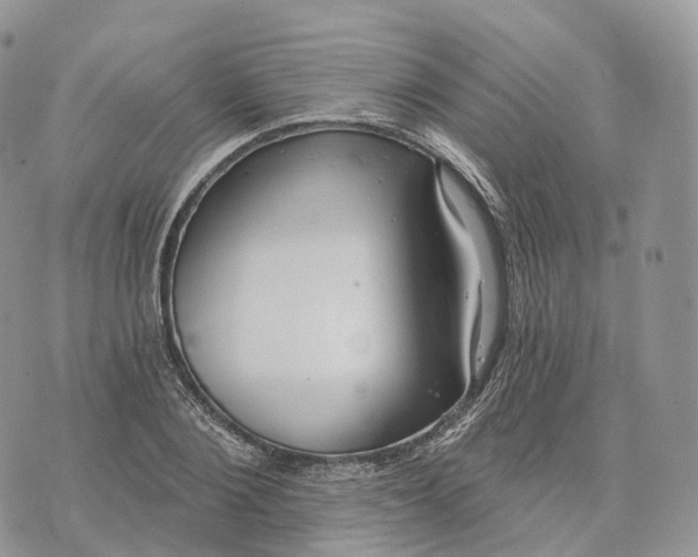 X0000072970884200608111713