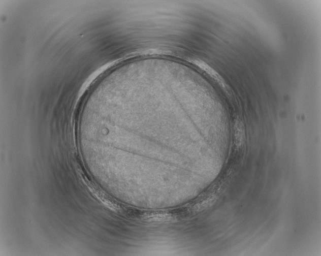 X0000072970886200608111713