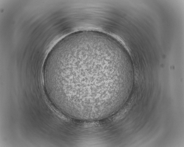 X0000072970887200608111713