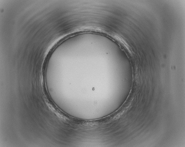 X0000072970888200608111713