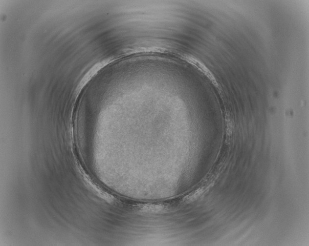 X0000072970890200608111713