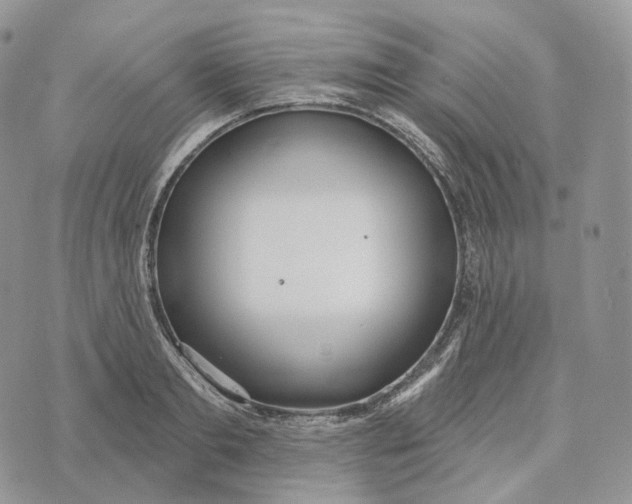 X0000072970893200608111713