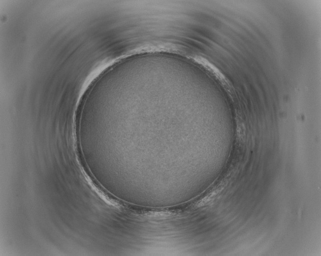 X0000072970894200608111713